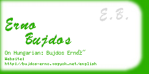 erno bujdos business card